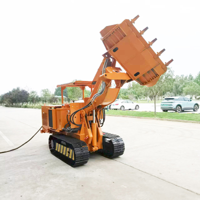 Customized Side Dump Rock Loader